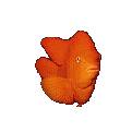 orange fish