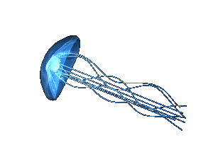 light blue jellyfish