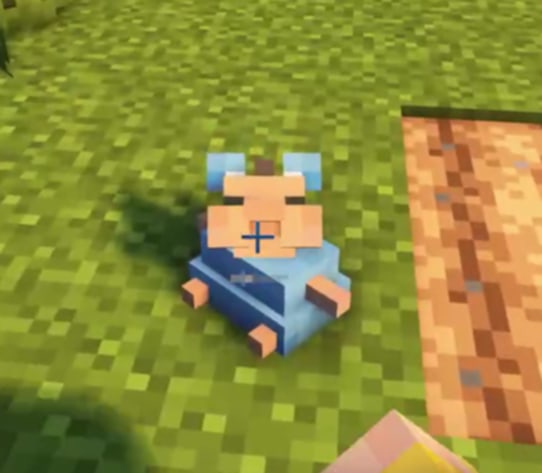 toto reference image