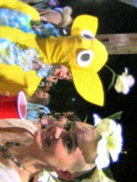 pikmin and flower costumes