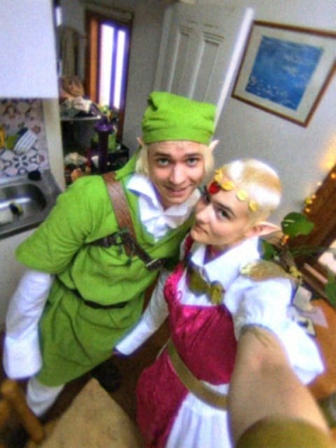 link and zelda costumes