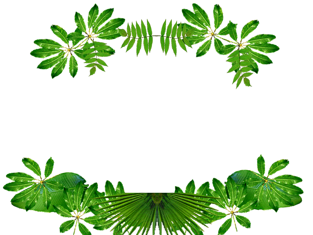 decorative jungle leaves